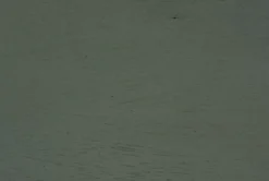 Delmar Teal Dining Chair Set Of 2 -KitchenCraft Store 304368 blue wood dining chair material 76